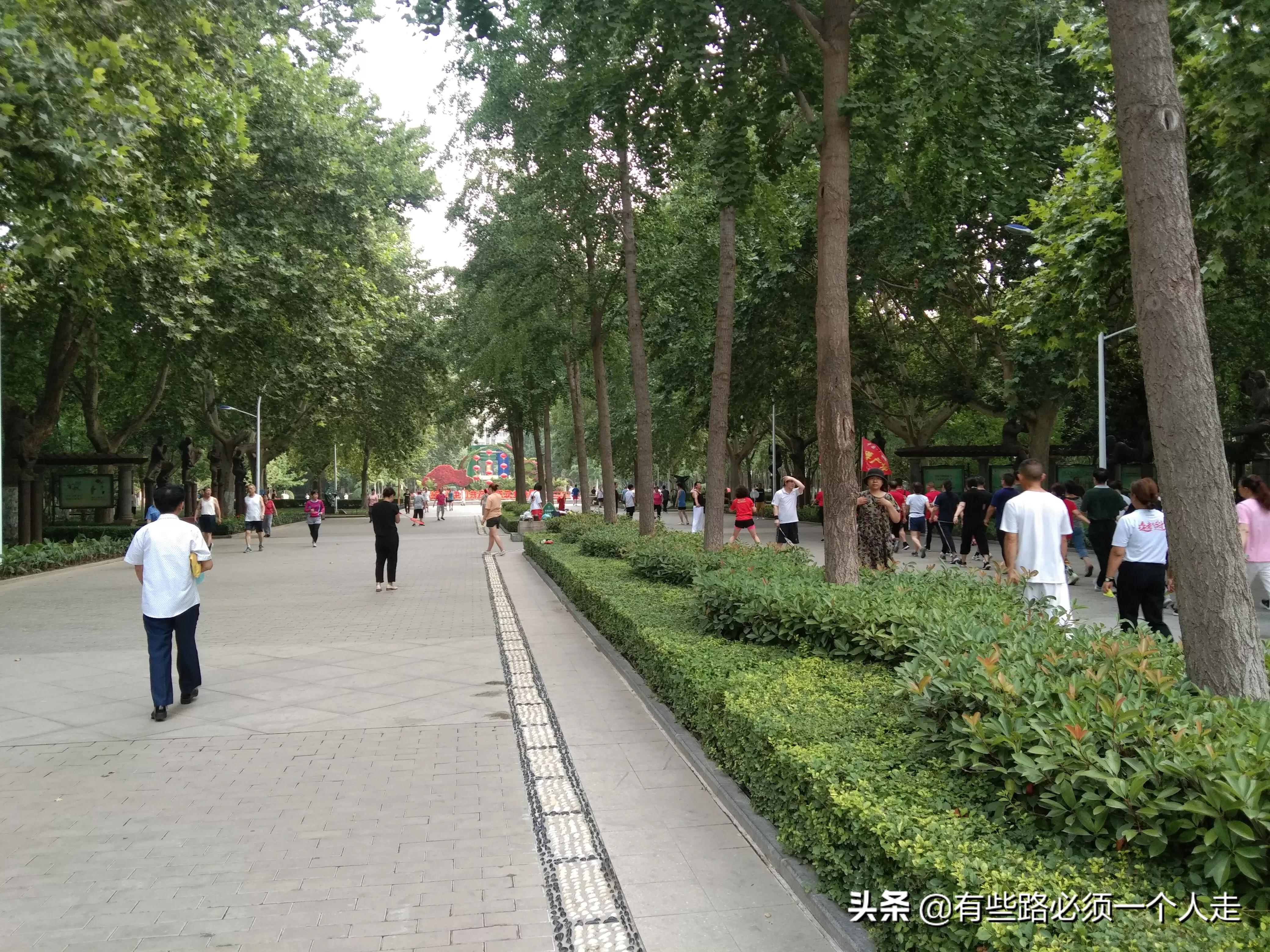 只希望用这样的方式，来调节自己紧绷的神经