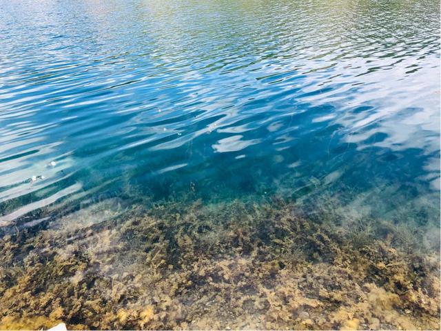 到云南10天9晚游吃住行费用全含,云南旅游900元玩五天