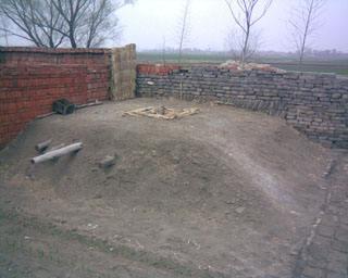 故乡的菜有哪些味道,故乡的菜