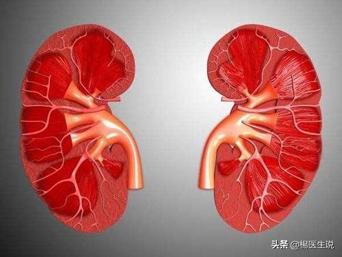 肌酐109多久成尿毒症,体检查出肌酐120严重吗
