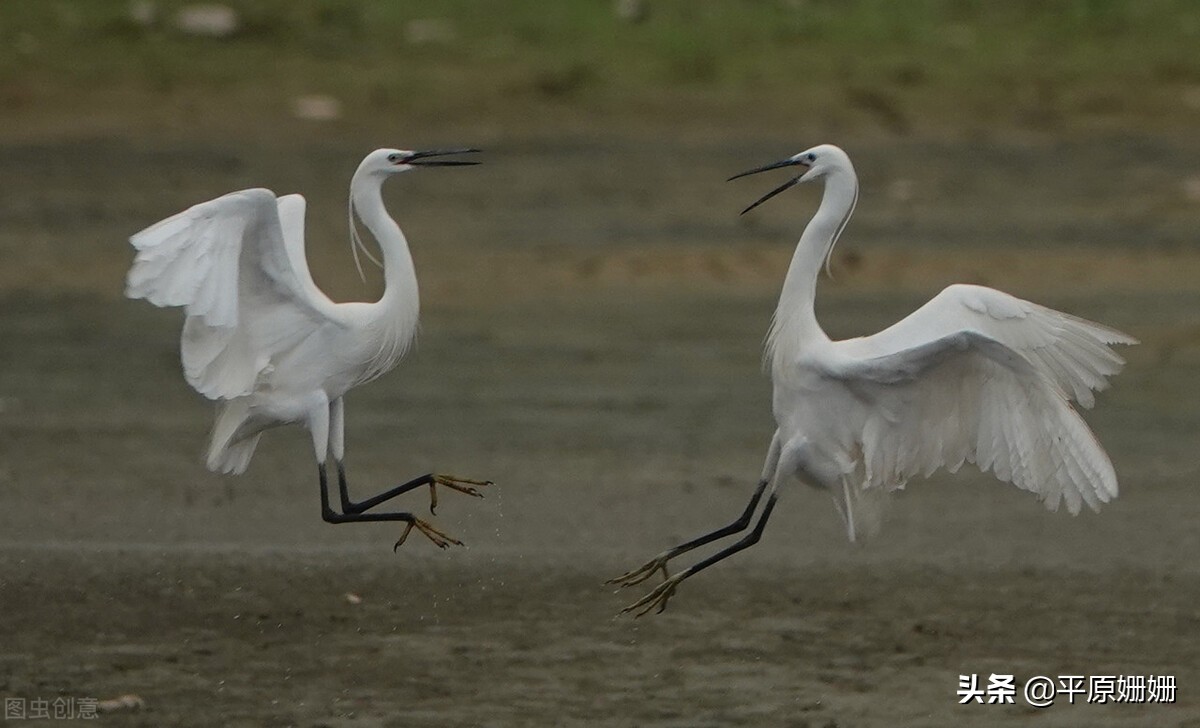 鐪熷亣鏃犱粠鏌ヨ瘉,鐪熷亣闅捐鲸鑷繁鐭ラ亾