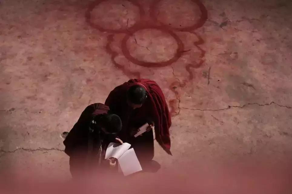 神秘的藏地精灵，米拉子子与米拉的故事