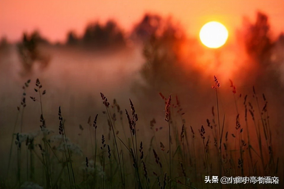 中考语文常考180个文言实词,高考语文120个文言实词