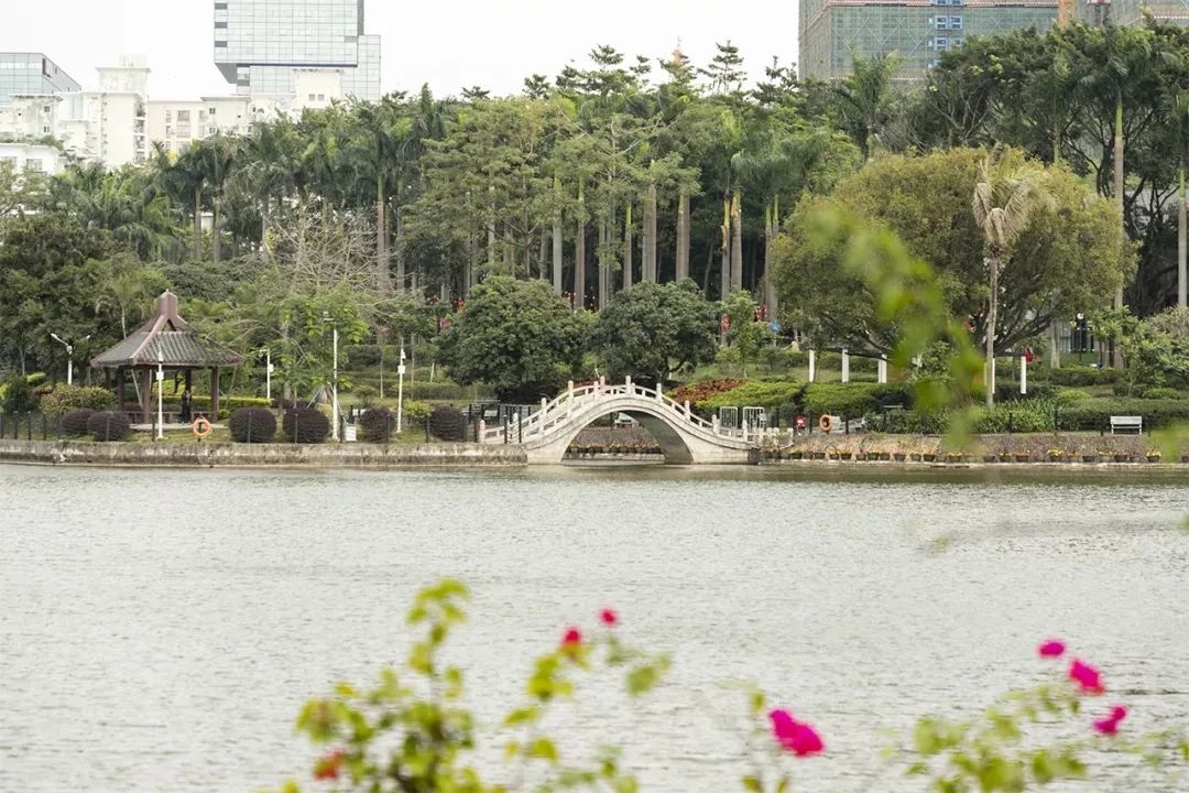 深圳1号线晚上好去处,坐地铁1号线玩遍深圳24个好地方