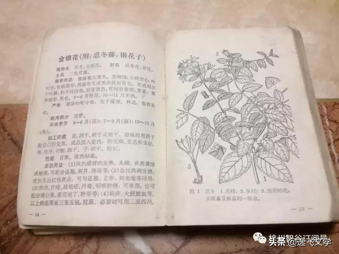 四川绵阳三台——一座有依(医)有靠,有肴(药)有味的城市