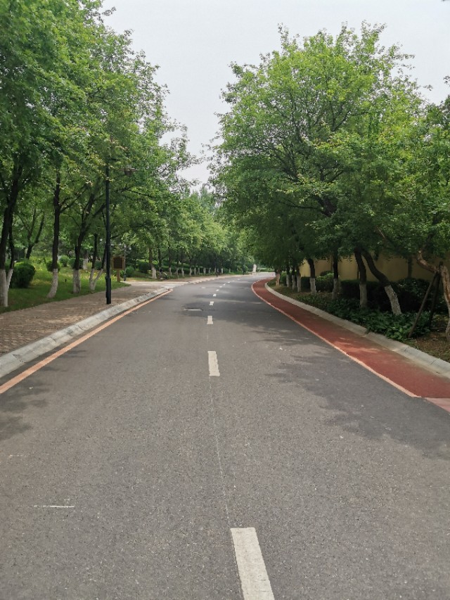 沈阳富力十二境独栋别墅,沈阳富力252平米别墅