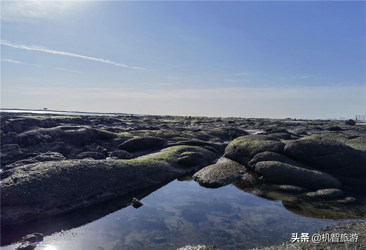 日照自驾游住宿攻略性价比便宜,日照旅游攻略免费自驾游最佳路线