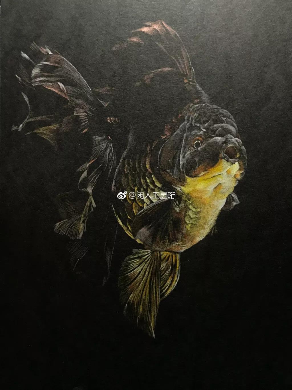 王昱珩不上班做到财富自由,最强大脑王昱珩清华毕业后不上班