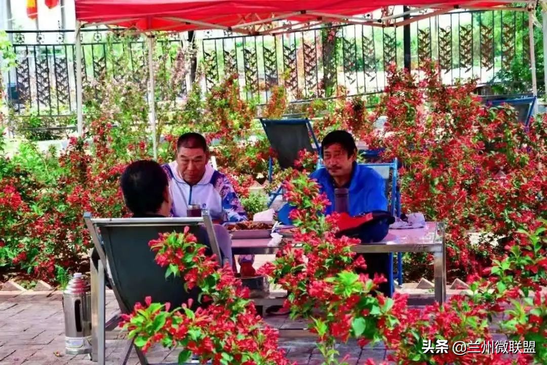 五一假日攻略西固,五一假日攻略兰州西固周边