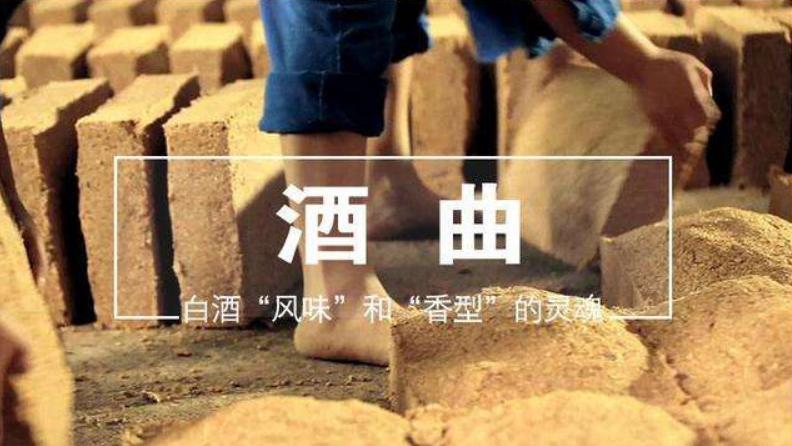 曲为酒之骨酱香酒配方,酒曲制作全过程和配方