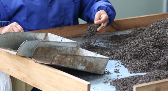 普洱茶紧压技术有哪些特点,普洱茶生茶紧压茶好坏之分