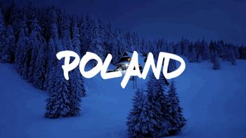 琥珀之国波兰,波兰的琥珀之国