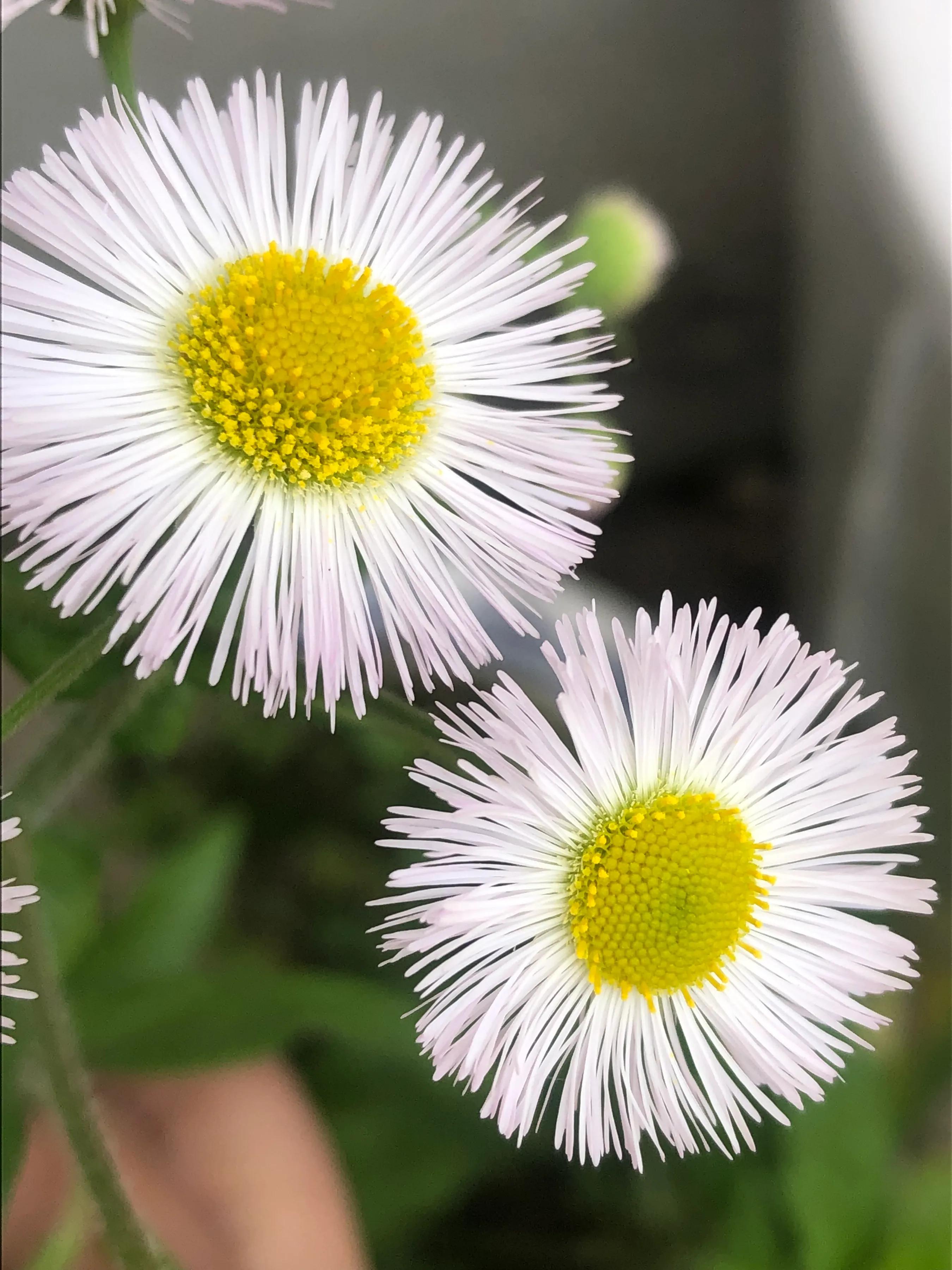 小朋友打新冠疫苗的感想,新冠疫苗接种小知识医生现场答疑