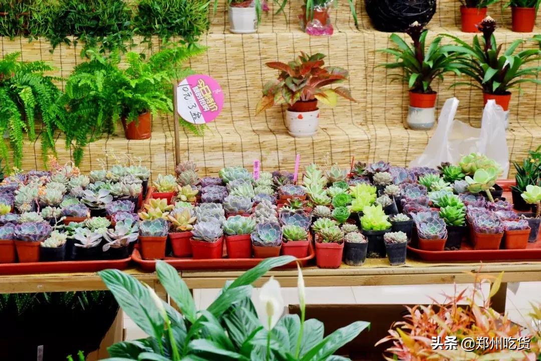 郑州各大批发市场一览表,河南郑州万邦国际农产品批发市场