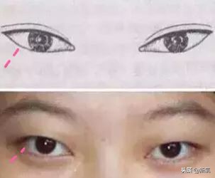 辛芷蕾是苦相女生吗,辛芷蕾气质怎么养成