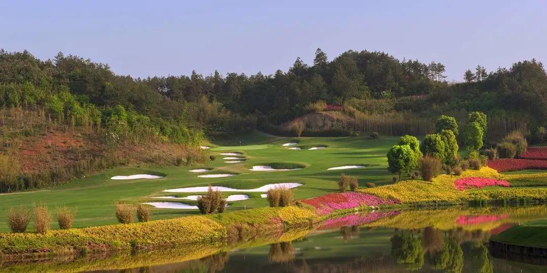 绿城龙王溪小镇房价多少钱,绿城龙王溪小镇楼盘