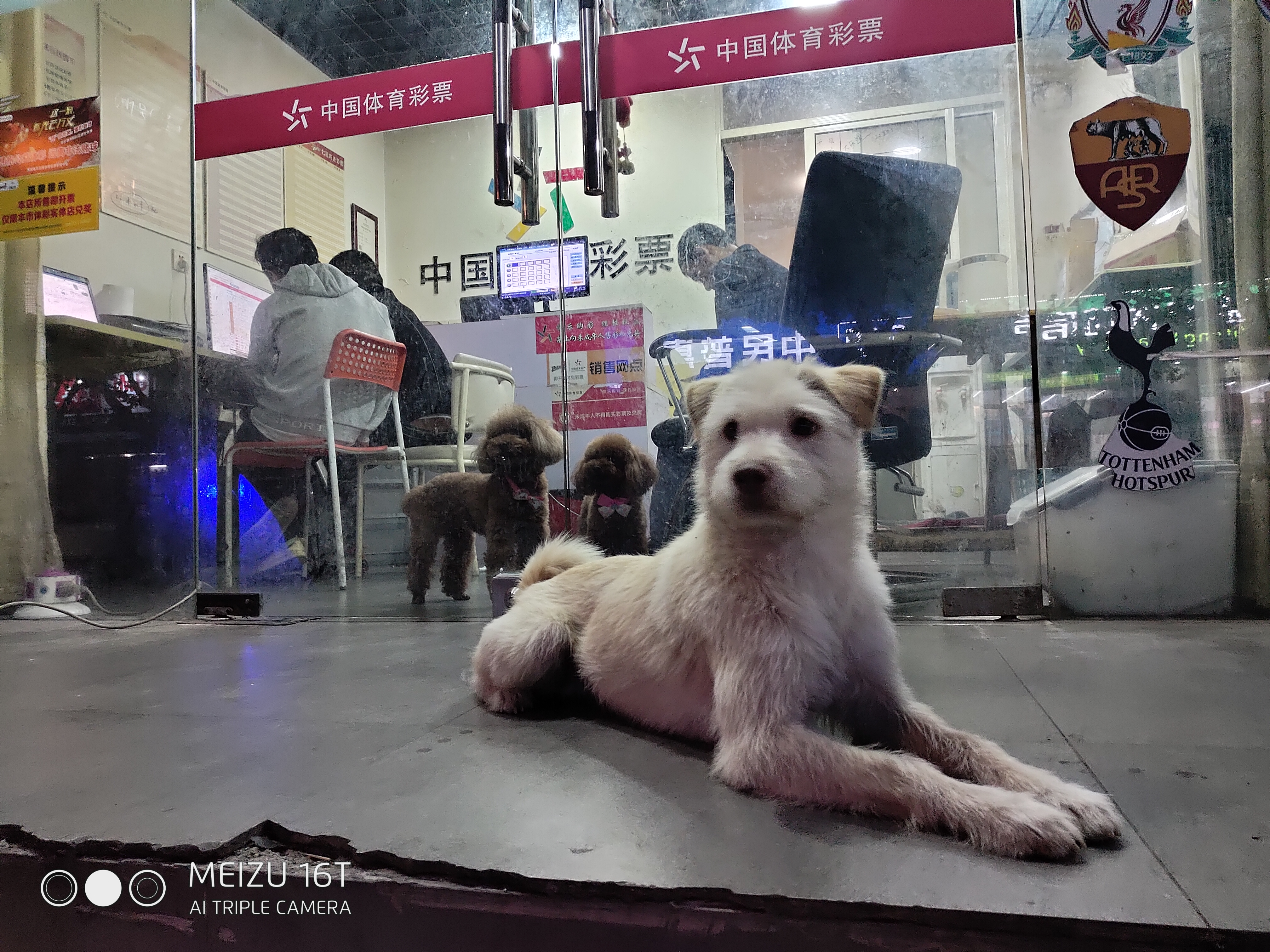 魅族16t大屏旗舰发布,魅族16t拍照效果怎么样