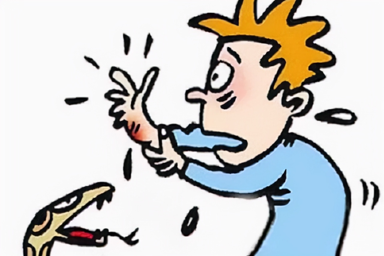 2米长大蟒蛇吓坏居民,深山出现巨大蟒蛇