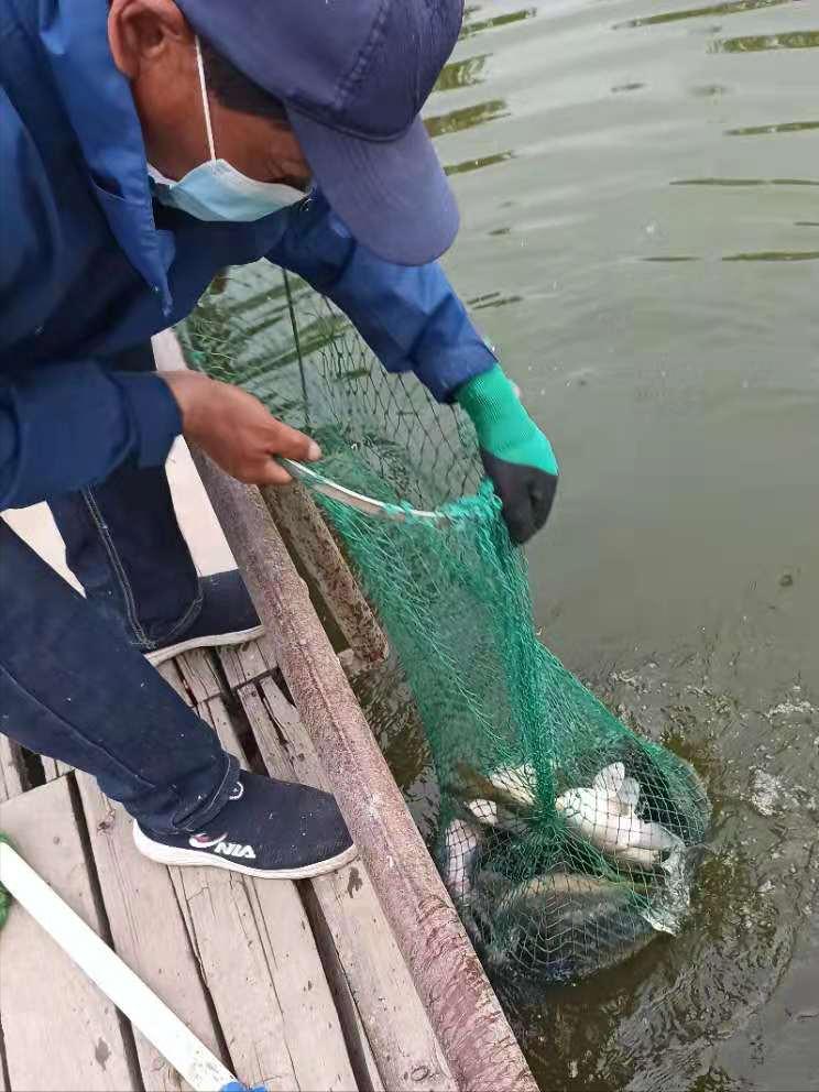 北京蟹岛,北京蟹岛一日游