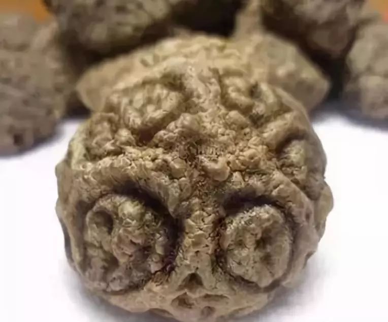 菩提手串大全图解,菩提手串的种类图解