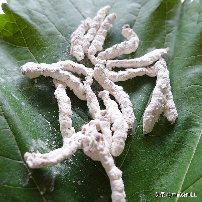 中药炮制去杂质的方法,中药材清洗流程