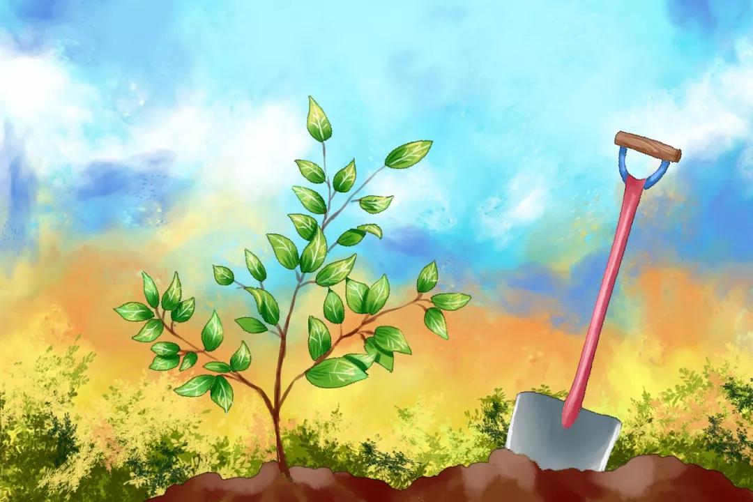 小学1-6年级关于植树节作文、手抄报已整理，给孩子收藏学习