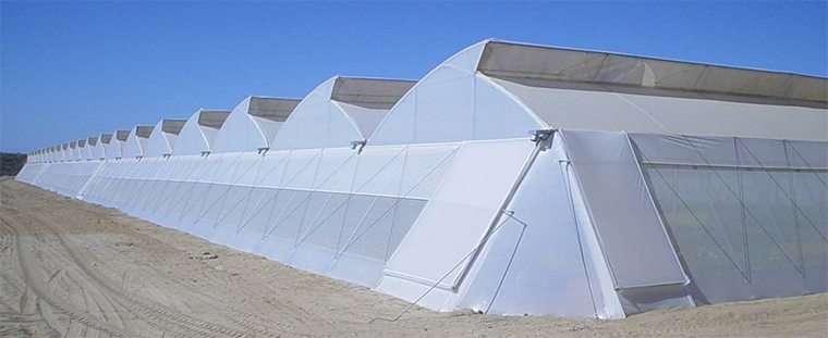 如何使用连栋薄膜大棚温室更节能,连栋薄膜温室怎么选择薄膜类型