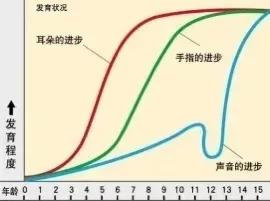 科少,双排键乐器教程