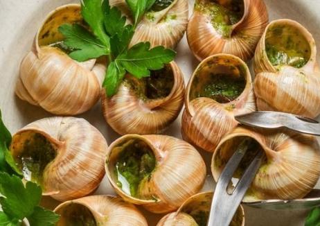 号称软黄金的是什么,被誉为软黄金