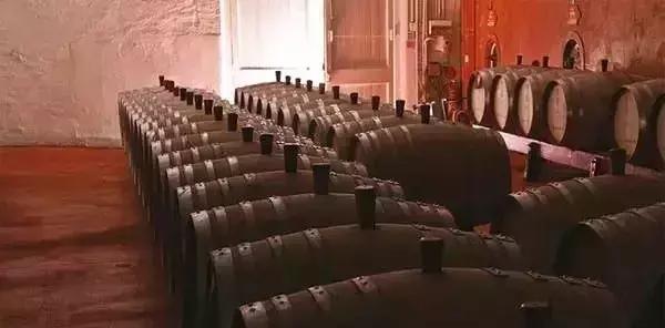 奔富的BIN707、407、389这些数字到底什么意思？