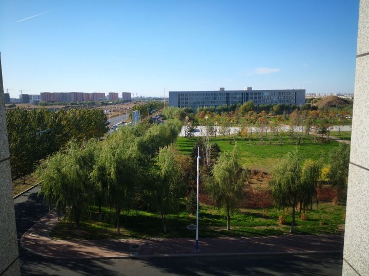 黑龙江东方学院院系,黑龙江省内大学本科