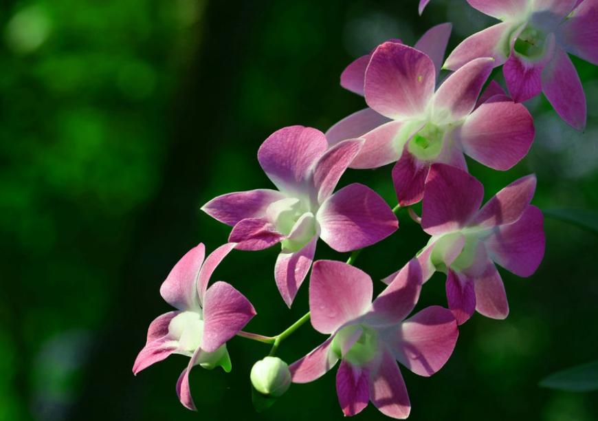 做人留三分说话留七分,话留三分软人留七分暖是什么意思