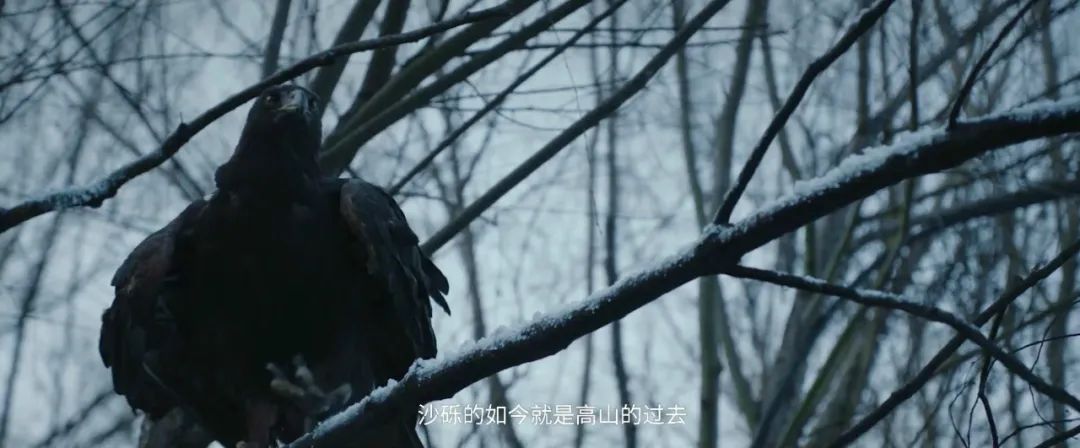 上线2天，就拿一个冠军，这部《有翡》番外真给“网络电影”长脸