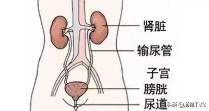 坐别人的热凳子得传染病,坐人家坐过的热凳子会得传染病吗