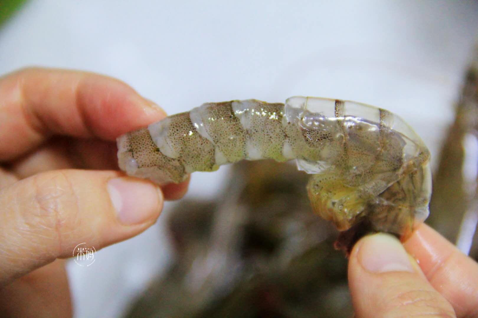 原来剥虾壳这么简单,学会这个诀窍,3秒去掉虾壳,轻松又完整