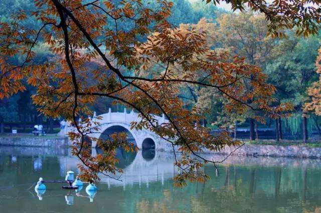 我的大学4年总结,我的大学四年生活