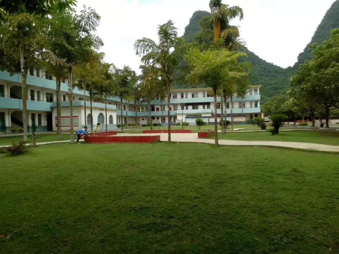 平乐源头二小视频,桂林平乐源头镇二小