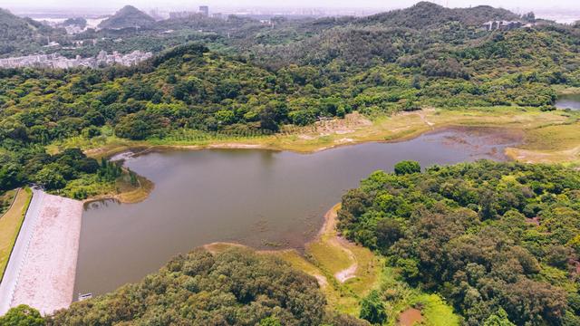 南沙黄山鲁森林公园夏季,南沙黄山鲁国家森林公园游玩攻略