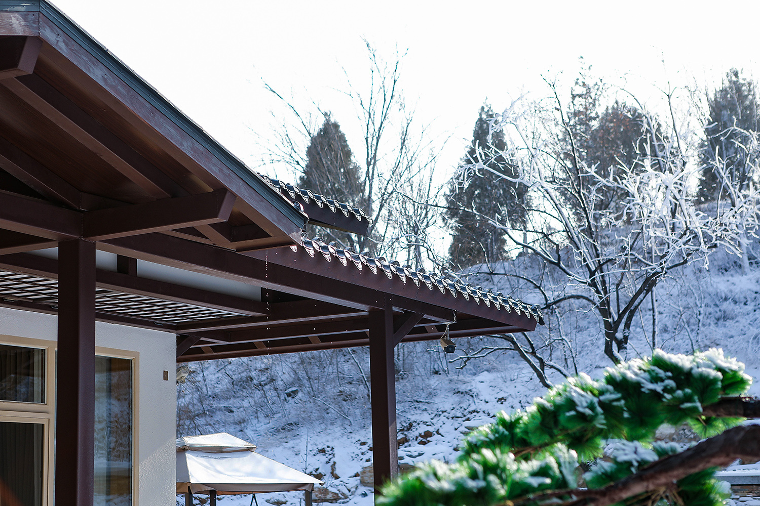 国内10家最美私密温泉民宿,民宿漂亮又能泡温泉的地方