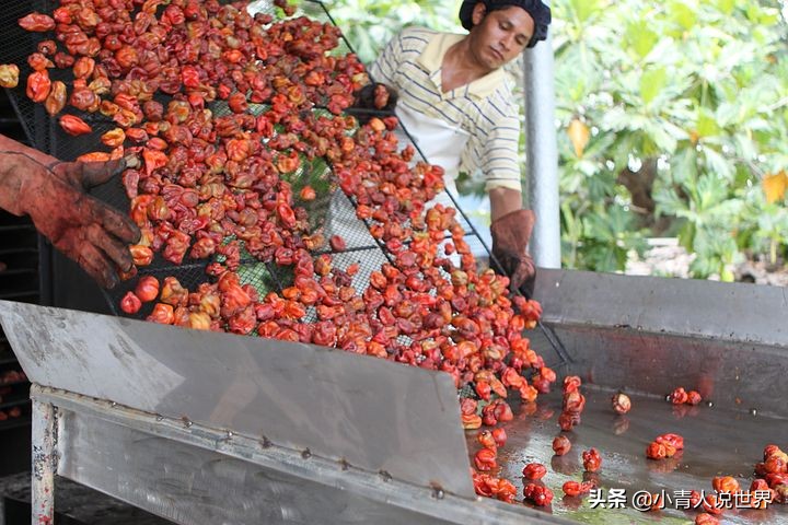 伯利兹是不发达国家吗,伯利兹最新版国家概况