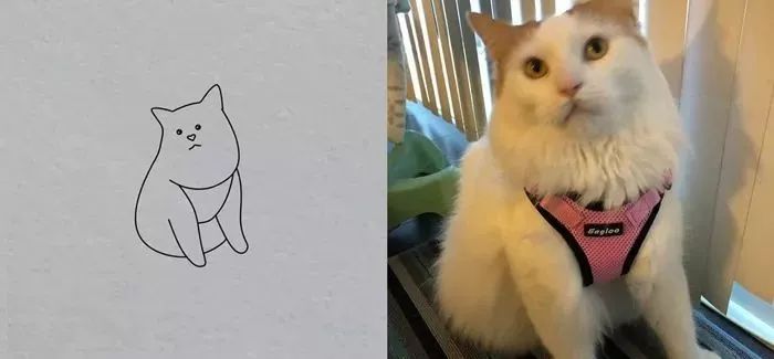 你和大触绘画的区别：一看就会一画就废，这波动物简笔画太形象了