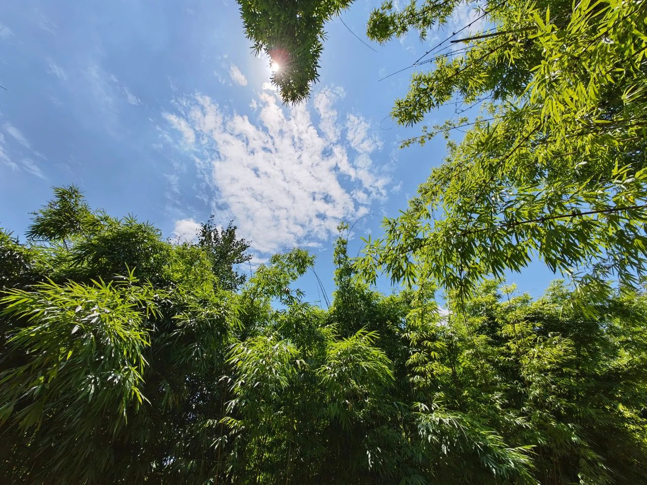 华为p50e上手体验,华为p50手机性能及价格