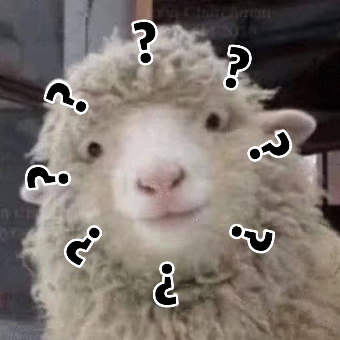 四瓶粉底液,4瓶妆效堪比磨皮的粉底液