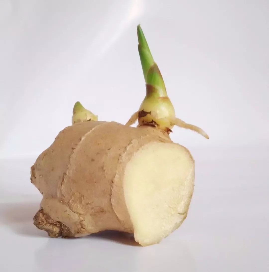 胃酸胃胀反酸水烧心吃什么食物好,反酸烧心吃什么食物立竿见影