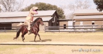 无忧花卉盆栽,无忧花卉盆景店