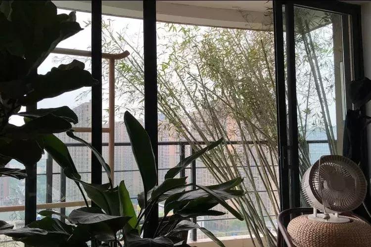 家具全是捡来的,家具都是捡来的