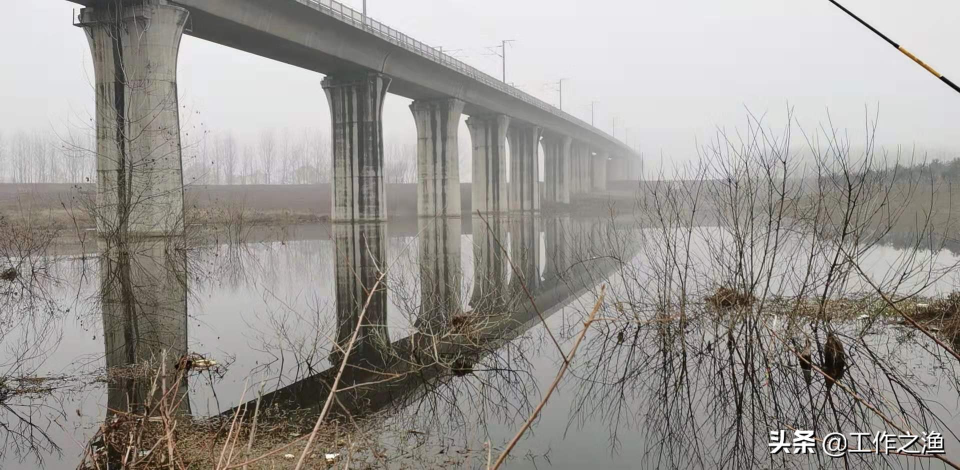 春江水暖鱼先知，浅谈环境对鱼行为的影响，知道这些还怕钓不好鱼