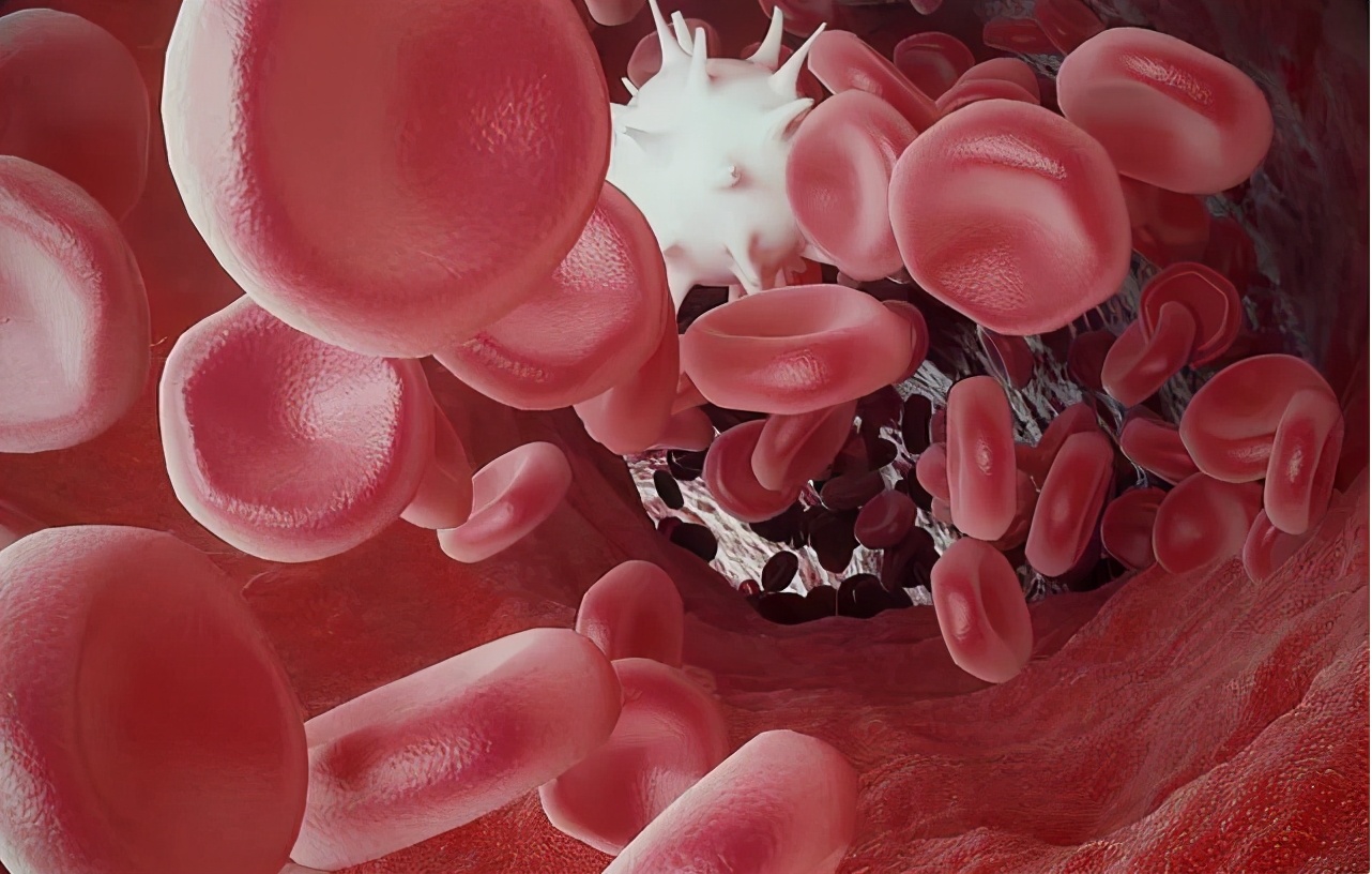 尿常规、血常规各项体检指标代表什么?3分钟教你读懂体检报告