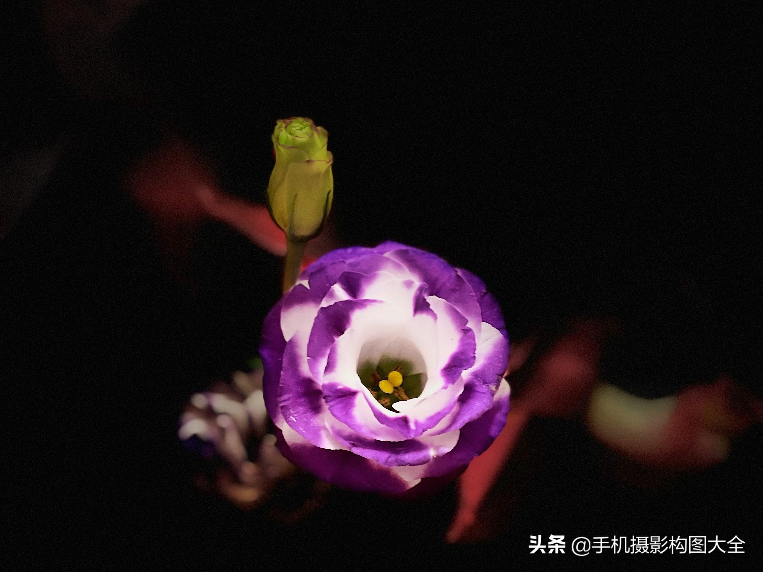 学会这8个技巧手机也能拍大片,教你几个用手机拍大片的技巧