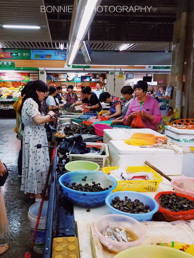 嵊泗列岛3天2夜攻略,嵊泗本岛三天两夜自由行攻略